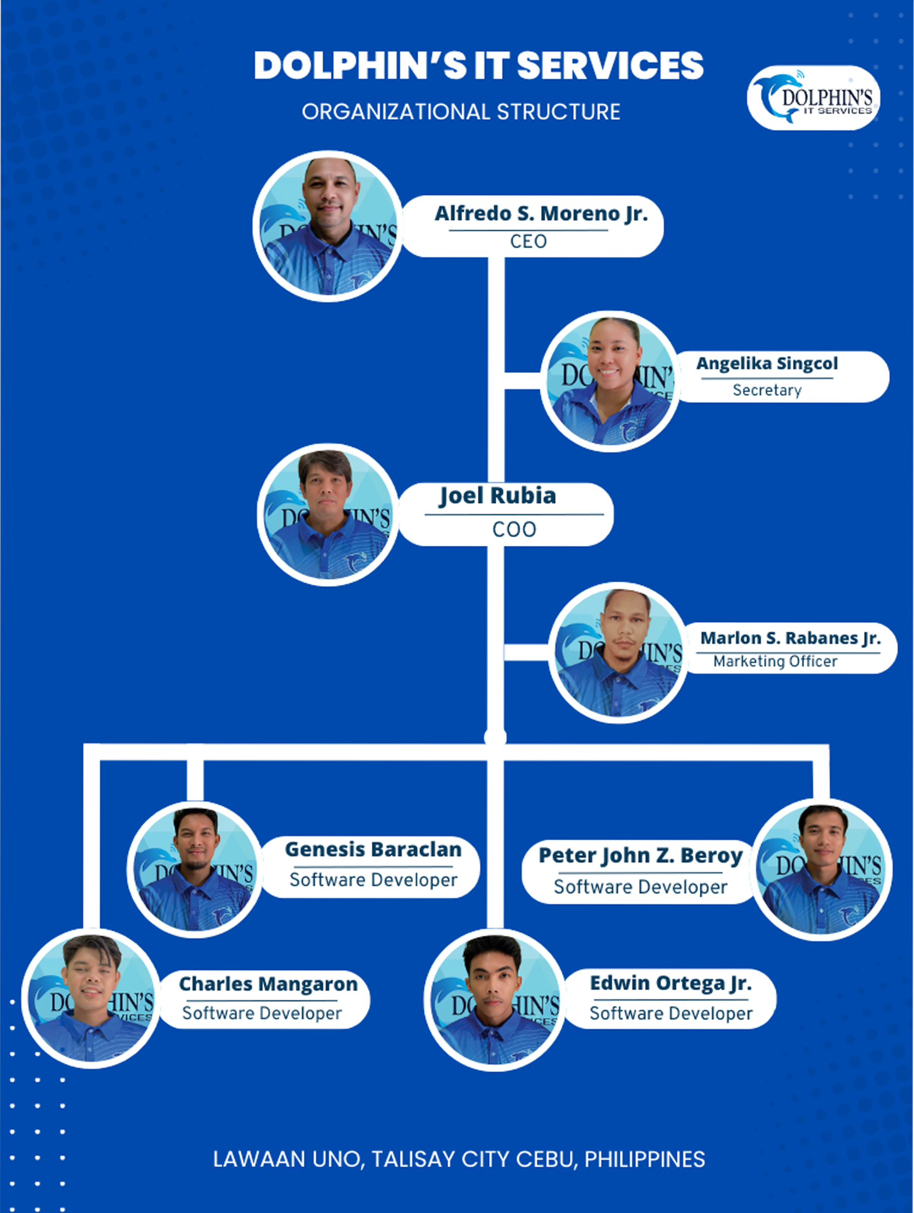 Dolphin's IT Services Organizational Chart