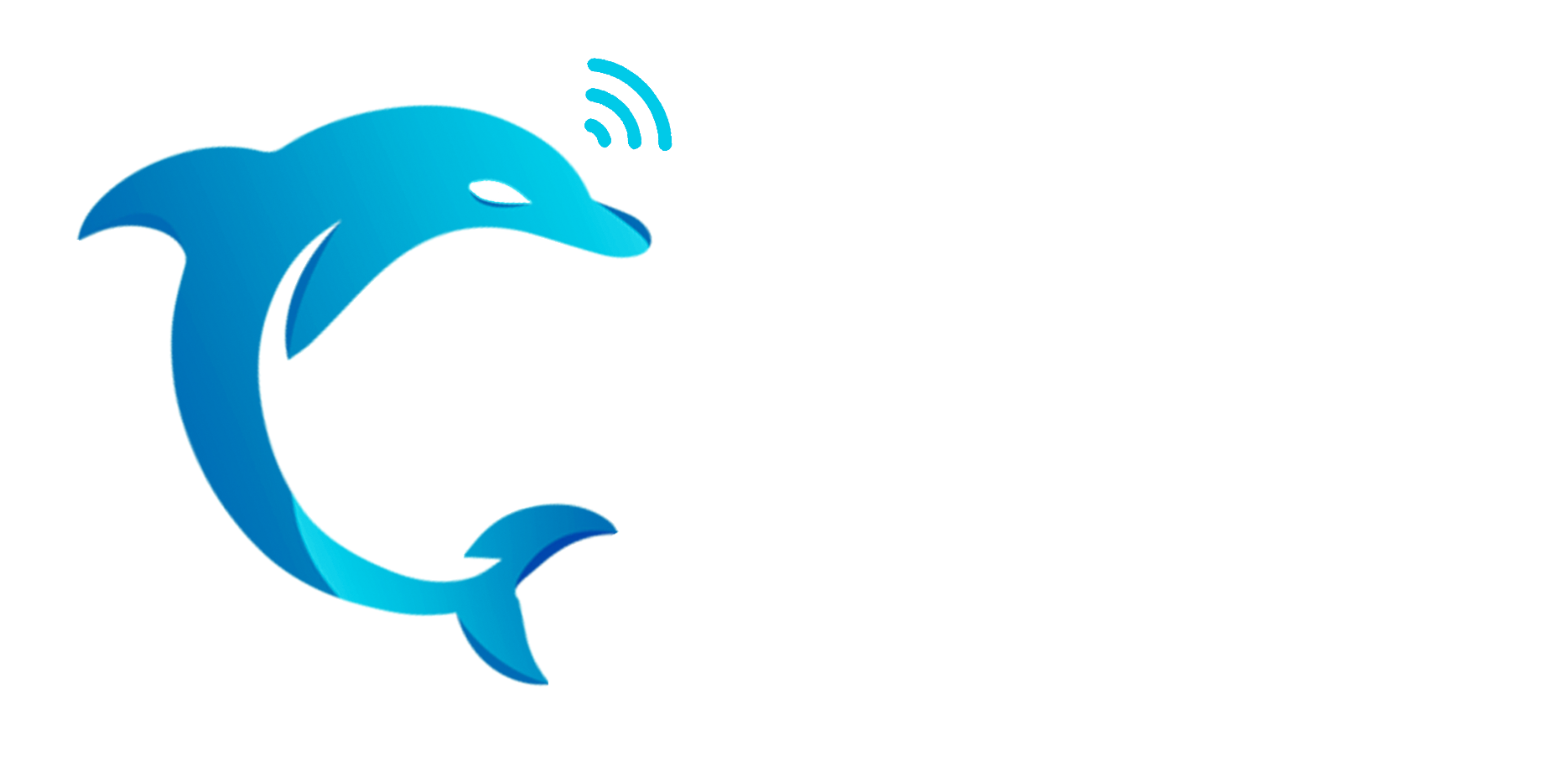 Dolphin's IT Services Logo